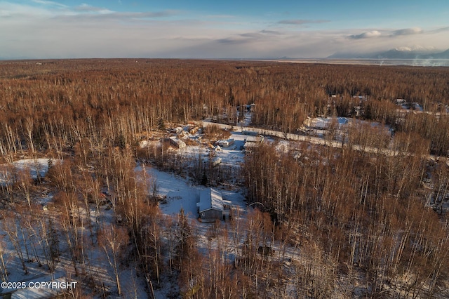 view of snowy aerial view