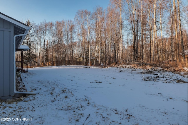 view of yard covered in snow