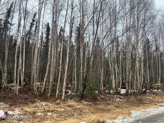 4860 W Hollow Nook Dr, Wasilla AK, 99623 land for sale