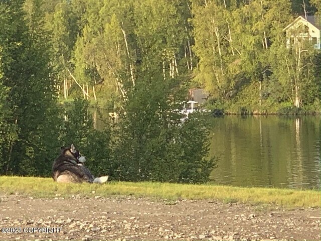 4413 Call Of The Wild Rd, Wasilla, AK 99654 - photo 8
