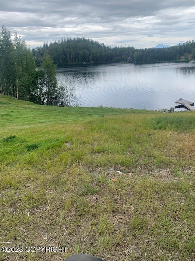 4413 Call Of The Wild Rd, Wasilla, AK 99654 - photo 12