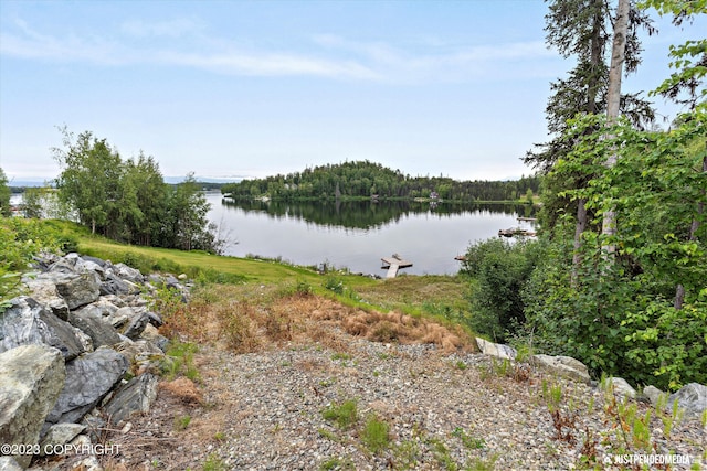 4413 Call Of The Wild Rd, Wasilla, AK 99654 - photo 23