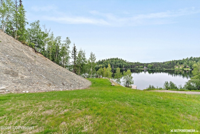 4413 Call Of The Wild Rd, Wasilla, AK 99654 - photo 26
