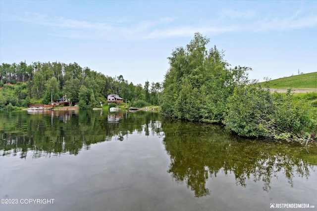 4413 Call Of The Wild Rd, Wasilla, AK 99654 - photo 31