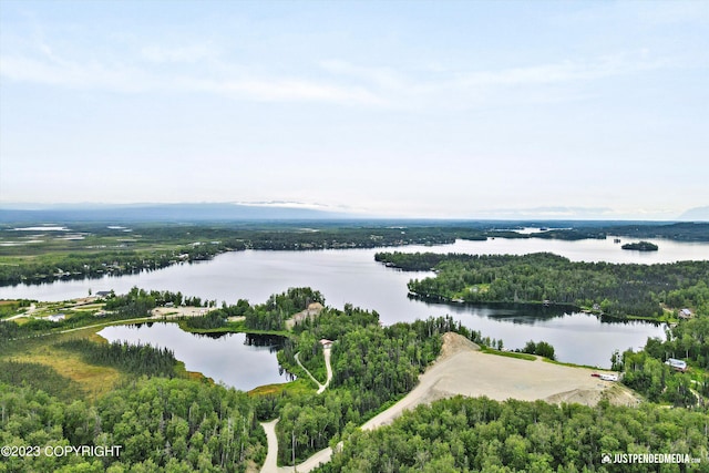 4413 Call Of The Wild Rd, Wasilla, AK 99654 - photo 32