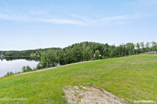 4413 Call Of The Wild Rd, Wasilla, AK 99654 - photo 34