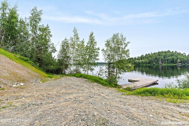 4413 Call Of The Wild Rd, Wasilla, AK 99654 - photo 38