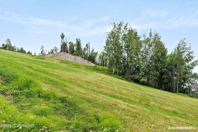 4413 Call Of The Wild Rd, Wasilla, AK 99654 - photo 41