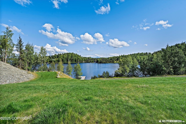 4413 Call Of The Wild Rd, Wasilla, AK 99654 - photo 4