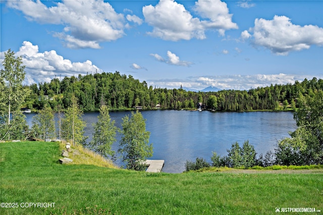 4413 Call Of The Wild Rd, Wasilla, AK 99654 - photo 2