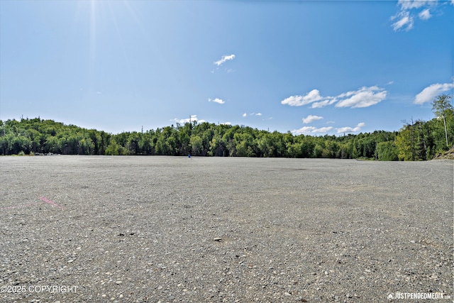 4413 Call Of The Wild Rd, Wasilla, AK 99654 - photo 43