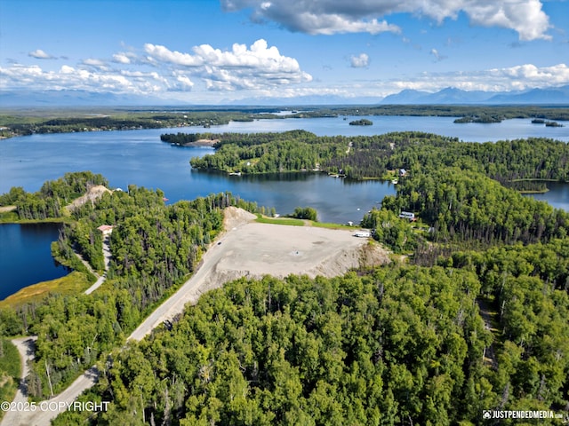 4413 Call Of The Wild Rd, Wasilla, AK 99654 - photo 44