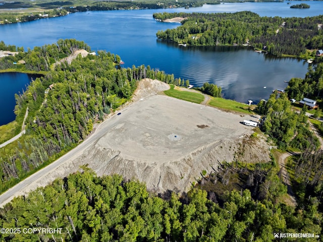 4413 Call Of The Wild Rd, Wasilla, AK 99654 - photo 45