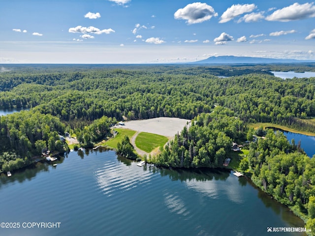 4413 Call Of The Wild Rd, Wasilla, AK 99654 - photo 46