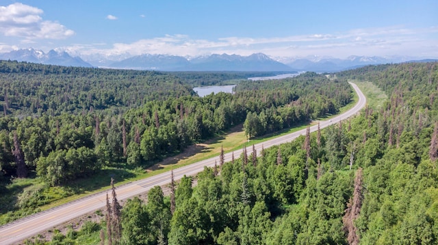 Listing photo 3 for 2187 N Parks Hwy, Trapper Creek AK 99683