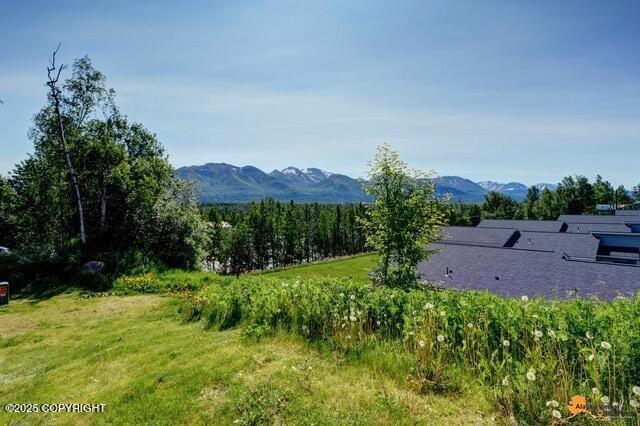 7750 Boundary Ave # A3, Anchorage, AK 99504 - view of mountain backdrop
