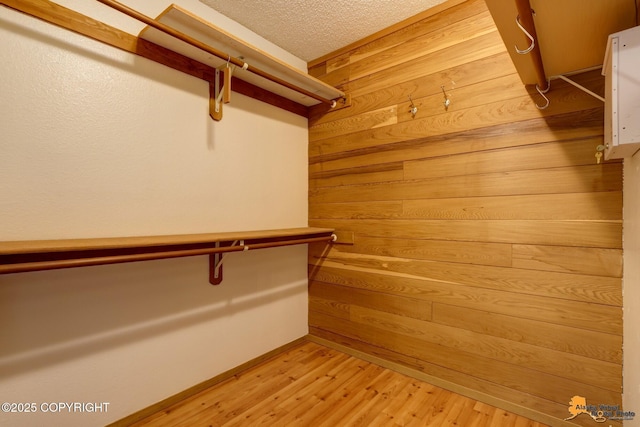 spacious closet featuring light wood-type flooring