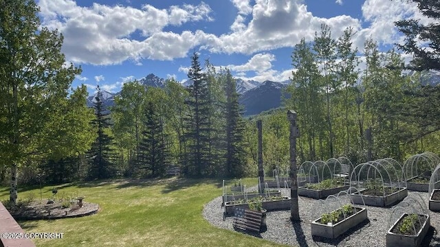 view of community featuring a mountain view and a yard