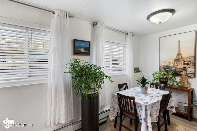 dining room with hardwood / wood-style flooring