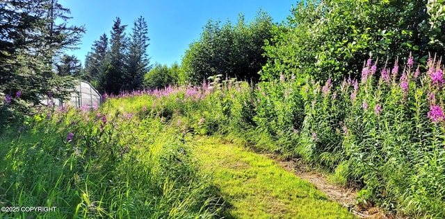 view of landscape