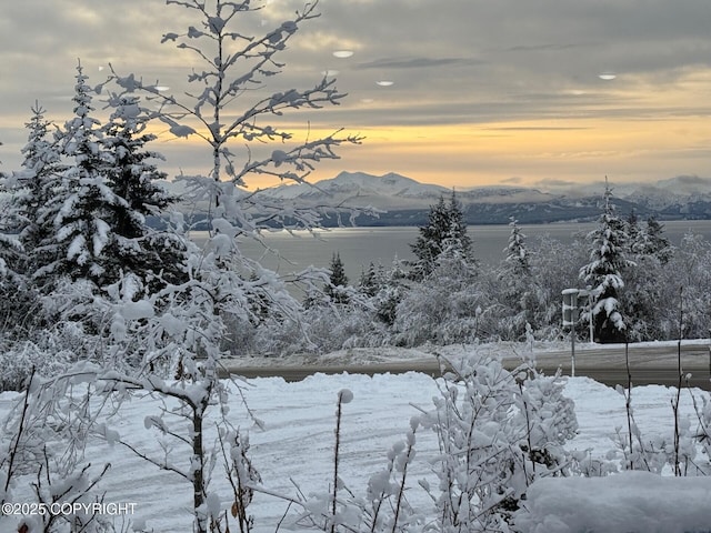 property view of mountains