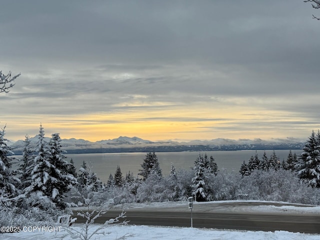 property view of mountains featuring a water view