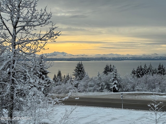 property view of mountains featuring a water view