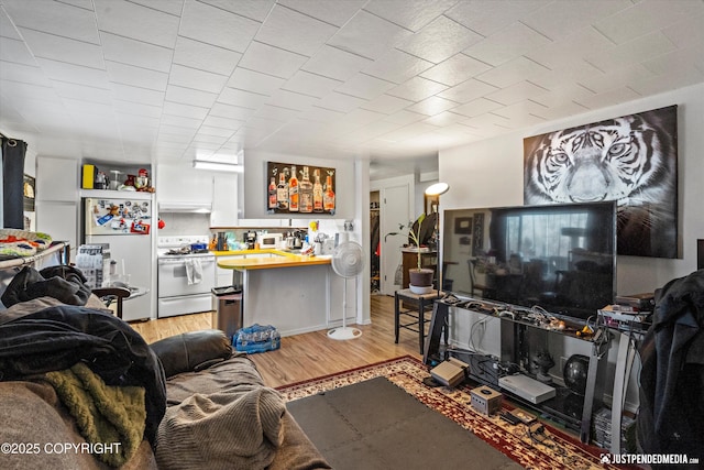 living room with light hardwood / wood-style floors