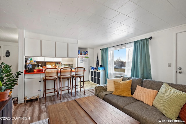 living room featuring wood-type flooring