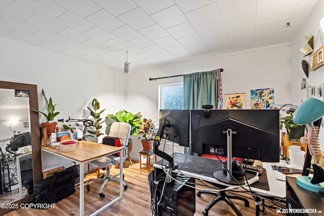 office area featuring hardwood / wood-style flooring