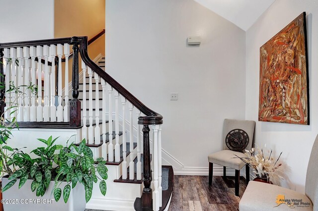 stairway with hardwood / wood-style flooring