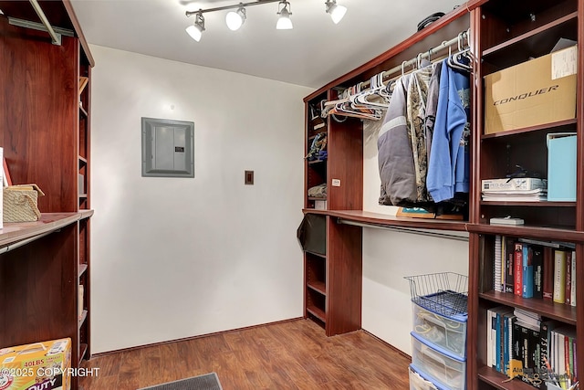 spacious closet featuring hardwood / wood-style flooring and electric panel