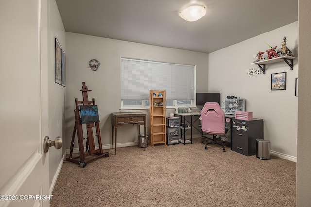 office space featuring carpet flooring