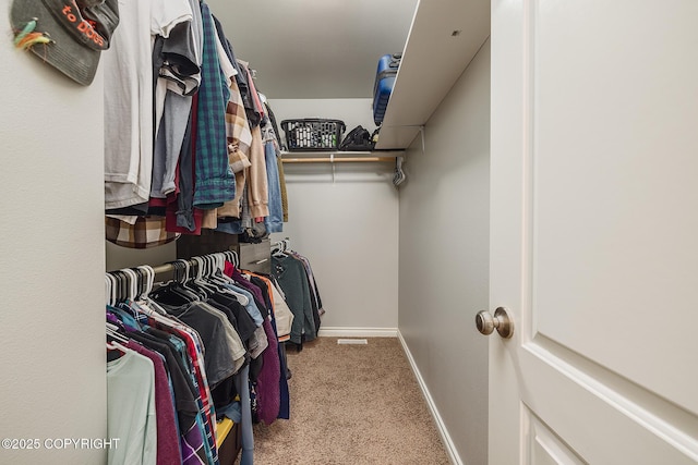 spacious closet with carpet floors