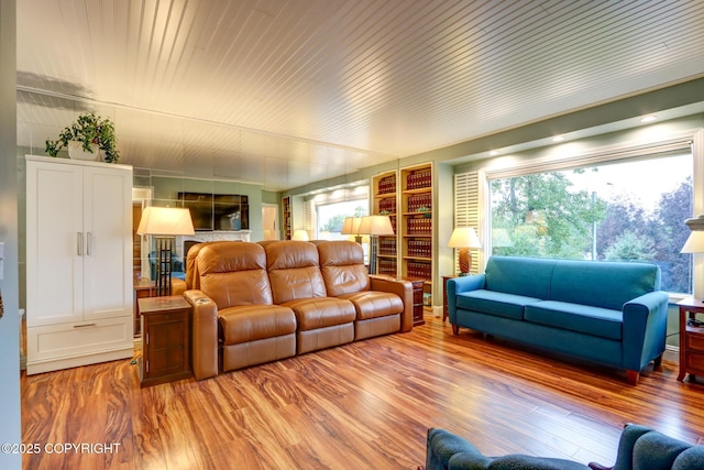 living room with wood-type flooring