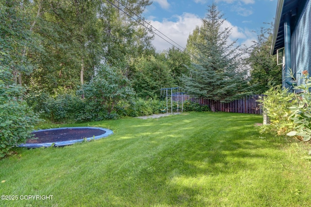 view of yard featuring a trampoline