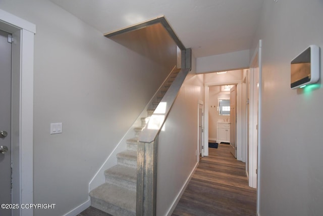 stairway featuring hardwood / wood-style flooring