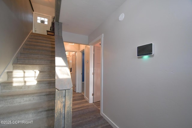 stairs featuring wood-type flooring