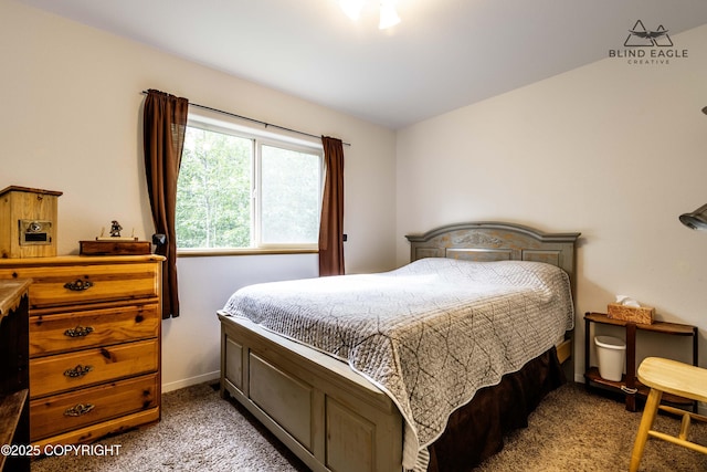 6976 W Windsor Dr, Wasilla, AK 99623 - carpeted bedroom with baseboards