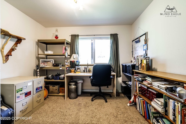 6976 W Windsor Dr, Wasilla, AK 99623 - office with carpet