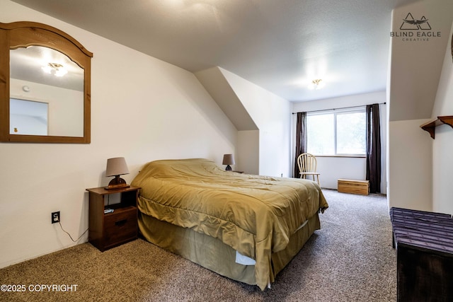 6976 W Windsor Dr, Wasilla, AK 99623 - bedroom with carpet floors