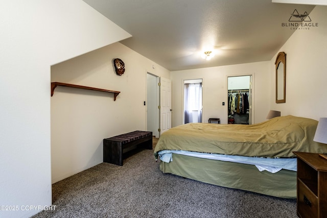 6976 W Windsor Dr, Wasilla, AK 99623 - carpeted bedroom featuring a walk in closet