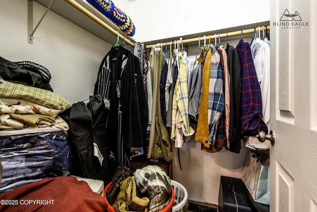 6976 W Windsor Dr, Wasilla, AK 99623 - view of spacious closet