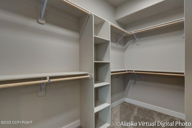 spacious closet with carpet floors