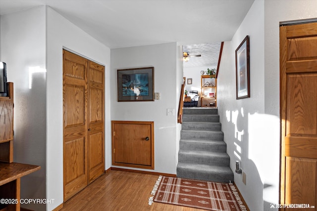 entrance foyer featuring hardwood / wood-style flooring