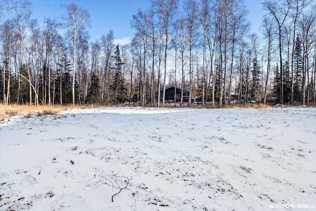 view of yard covered in snow