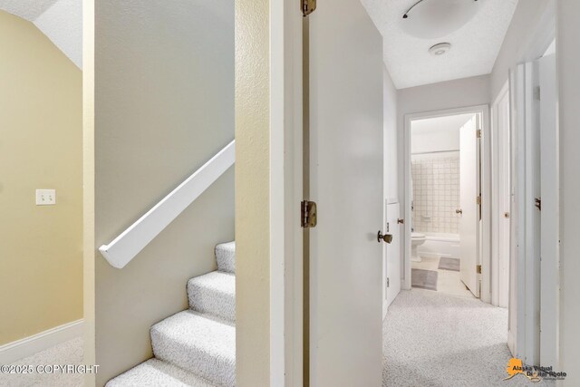 stairs with carpet floors and baseboards