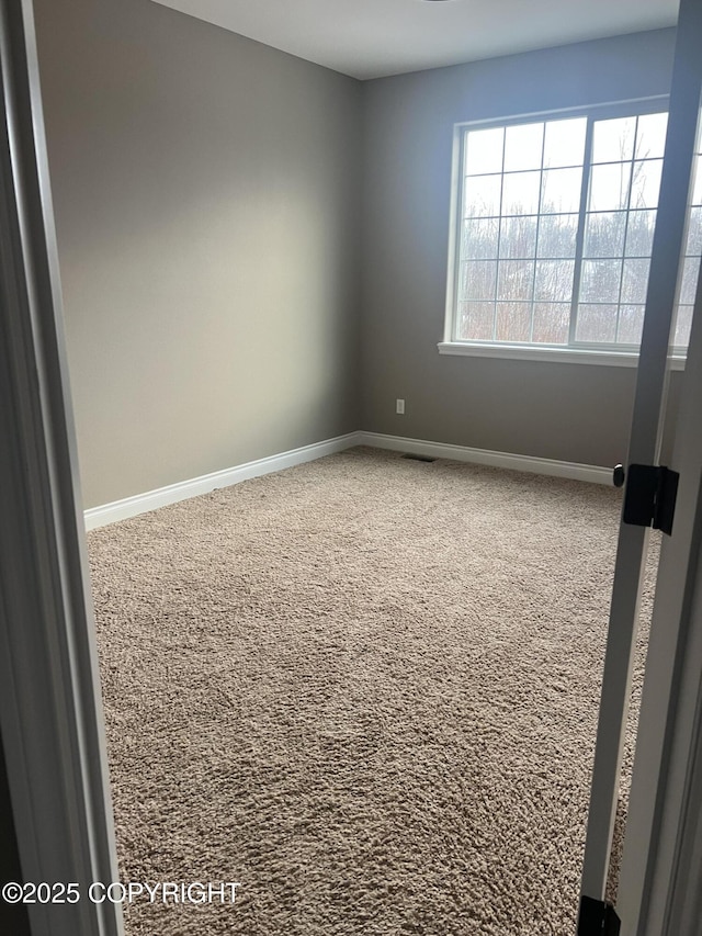 spare room featuring carpet floors