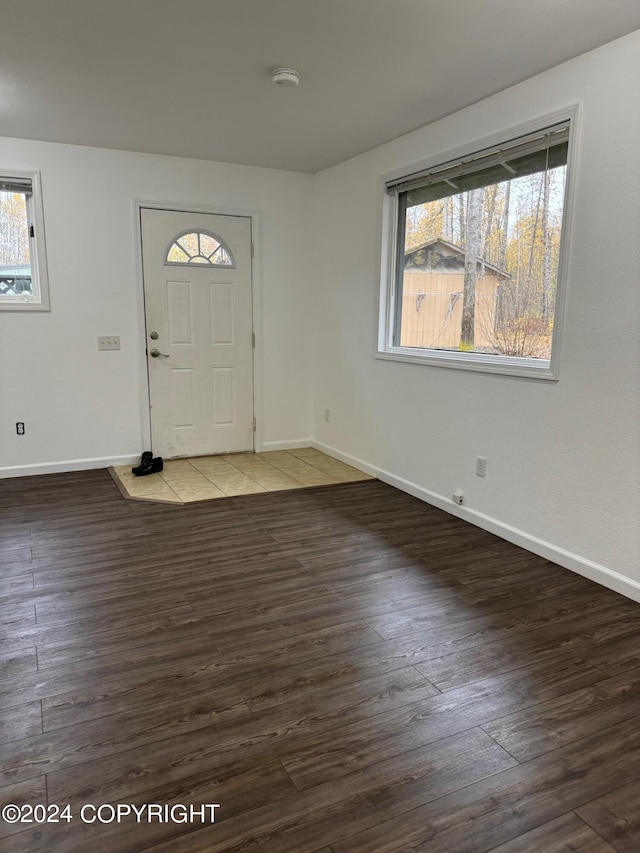 entrance foyer with dark hardwood / wood-style floors