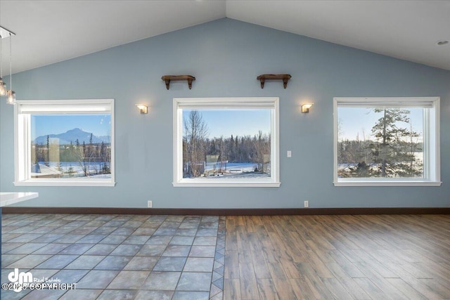 unfurnished room with lofted ceiling and wood-type flooring